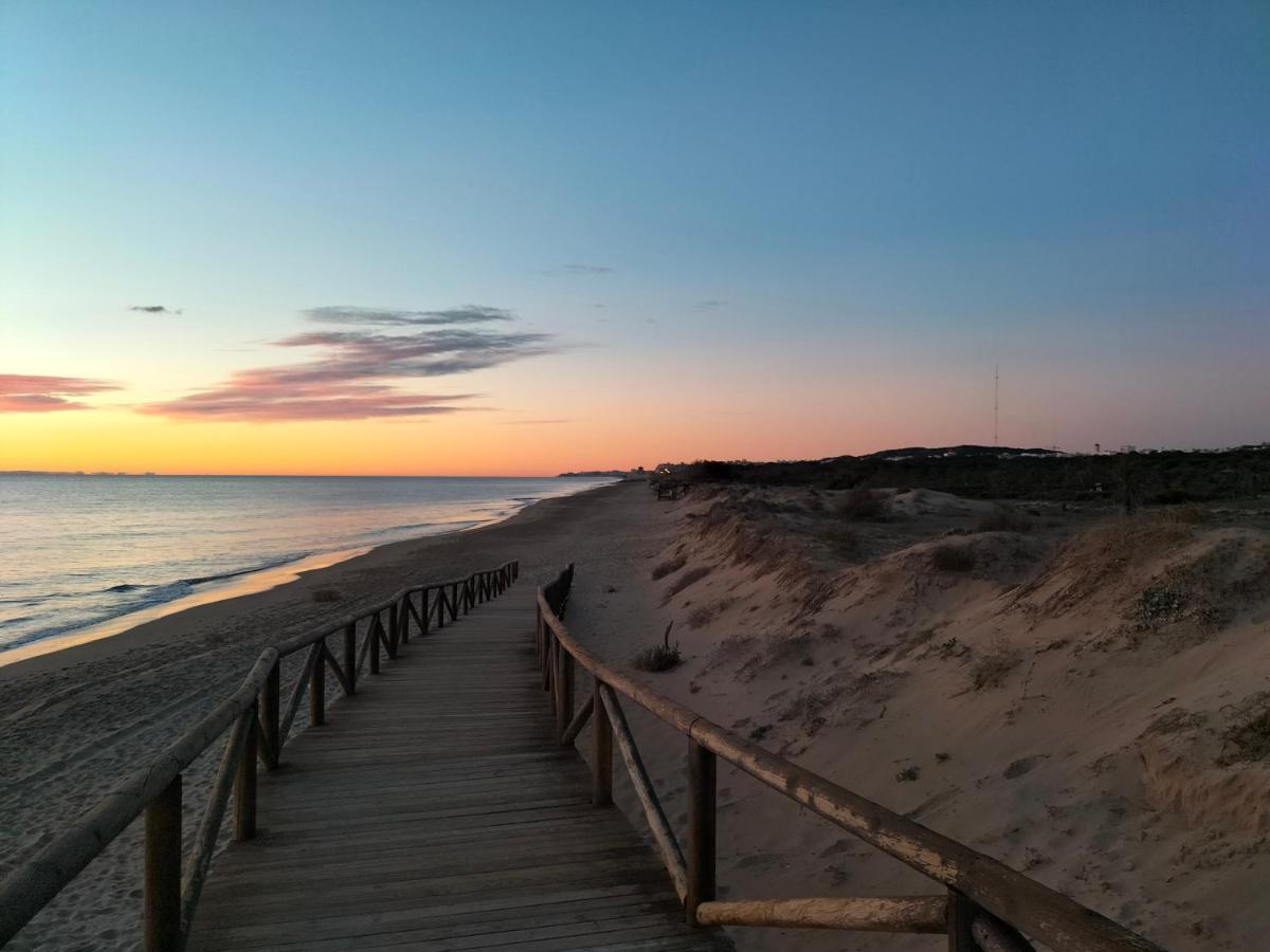 Sol Y Mar II Lejlighed Guardamar del Segura Eksteriør billede