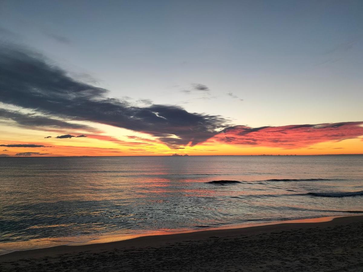 Sol Y Mar II Lejlighed Guardamar del Segura Eksteriør billede